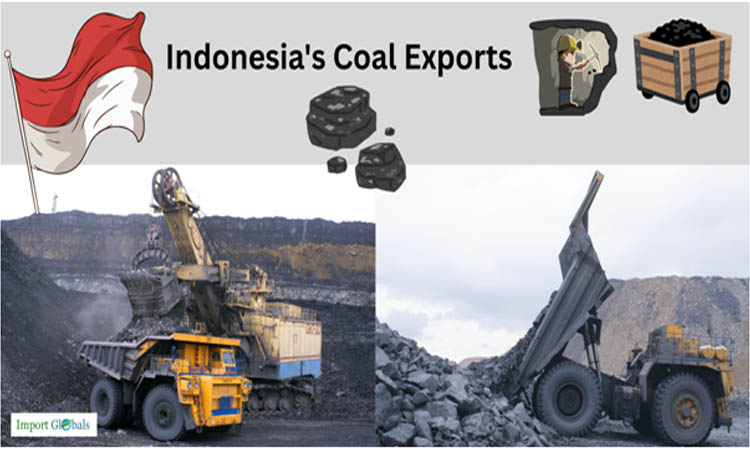 Indonesia's Coal Exports: A Detailed Review