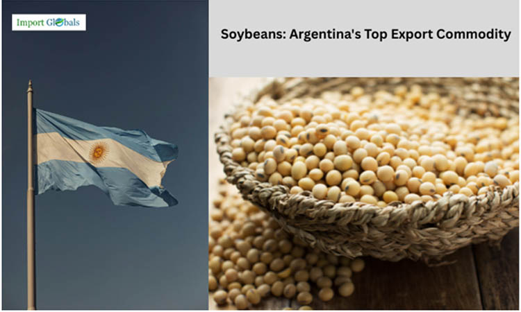 Comprehensive Study About Soybeans, Argentina's Top Export Commodity
