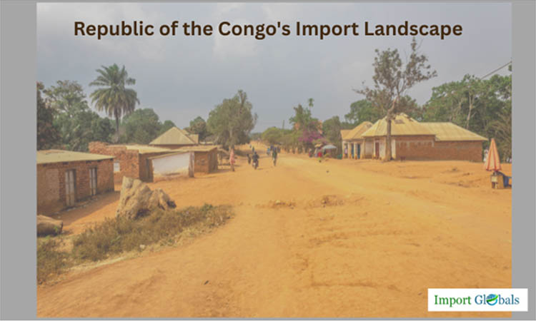 Republic of the Congo's Import Landscape: Trends, Partners, and Strategic Outlook